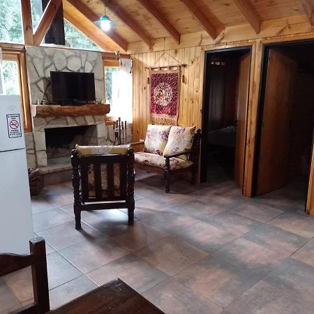 Dos Lunas Villa La Angostura Extérieur photo